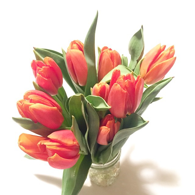 orangetulips